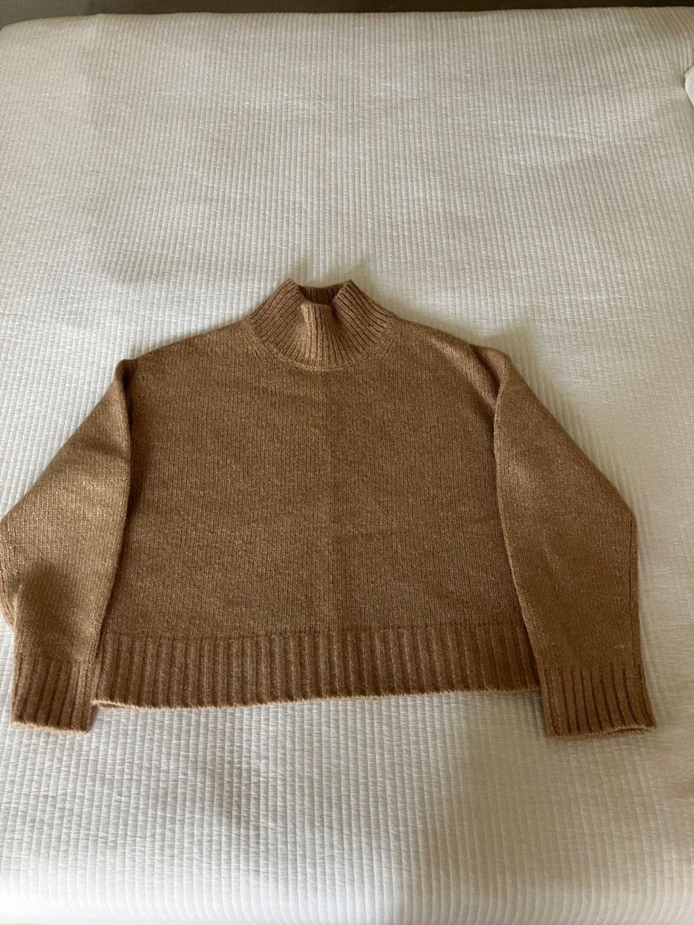 Everlane The Cloud Oversized Turtleneck XS